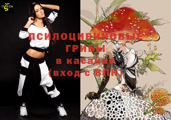 дмт Алексин