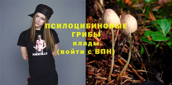 соль ск Алзамай
