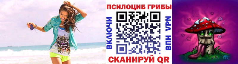 Псилоцибиновые грибы мицелий  цены   Игарка 